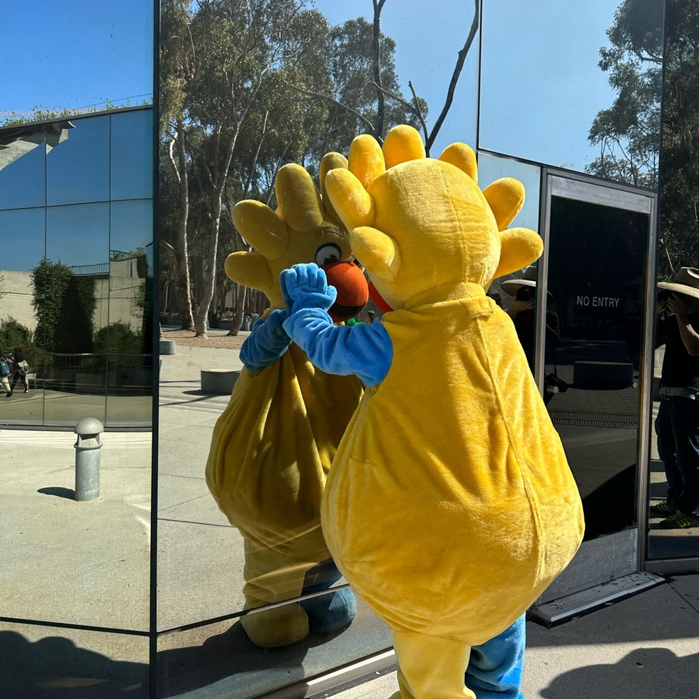 Meet your Posher, Sara